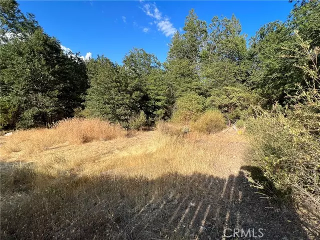 9204 Diamond Dust Trail, Kelseyville, CA 95451