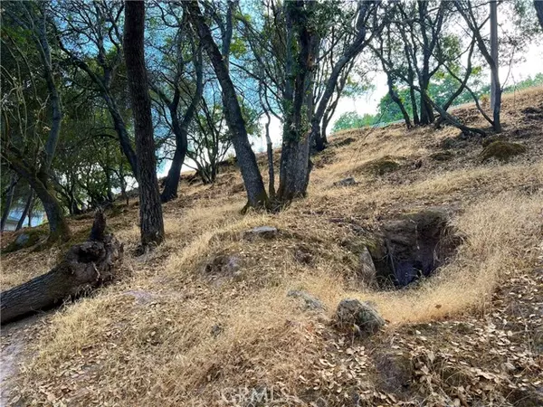 Kelseyville, CA 95451,4720 Kah Bel Trail