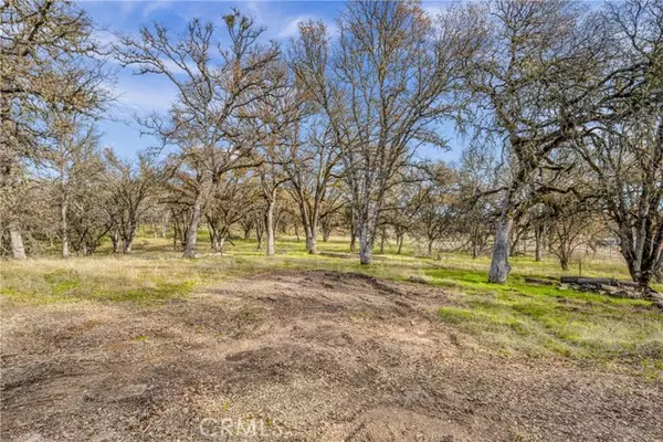 Lakeport, CA 95453,1282 Creekside Drive