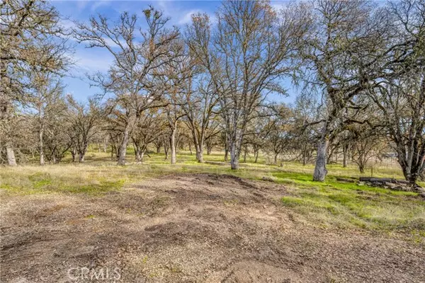 Lakeport, CA 95453,1282 Creekside Drive