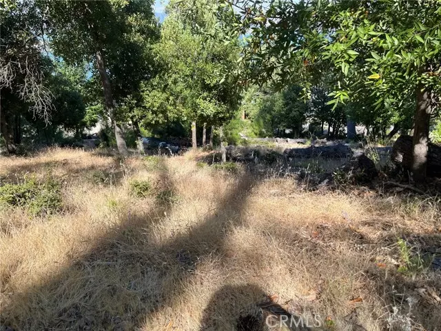 3607 Pine Terrace Drive, Kelseyville, CA 95451