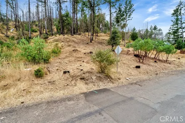 Middletown, CA 95461,11541 Anderson Springs Road
