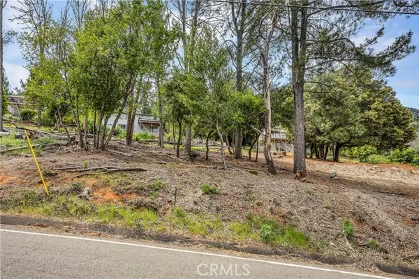 Kelseyville, CA 95451,3511 Knob Cone Drive