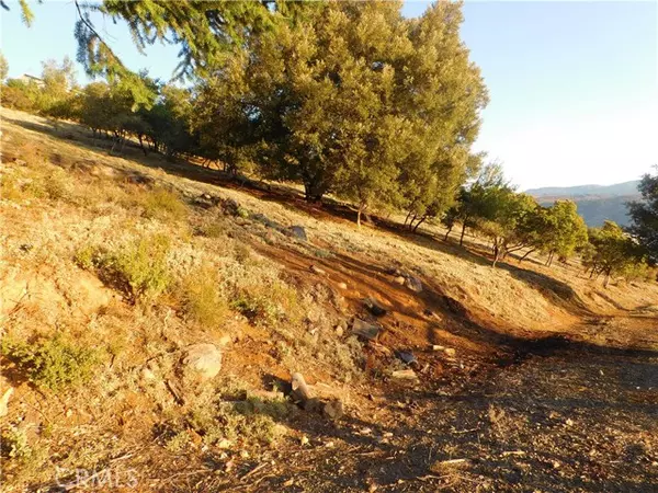 Kelseyville, CA 95451,8431 Mountain Crest Drive