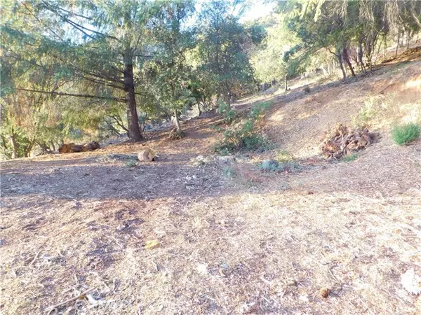 Kelseyville, CA 95451,8431 Mountain Crest Drive