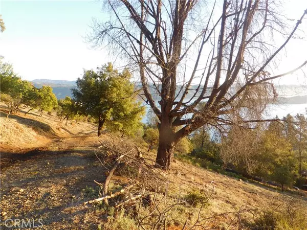 Kelseyville, CA 95451,8431 Mountain Crest Drive