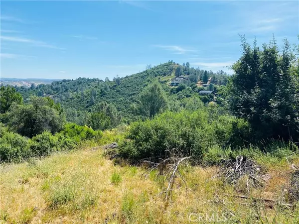 Kelseyville, CA 95451,4970 Iroquois Trail