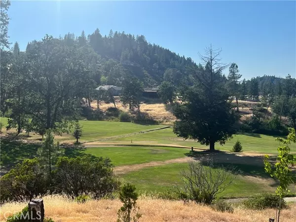 14461 Snead Drive, Cobb, CA 95426