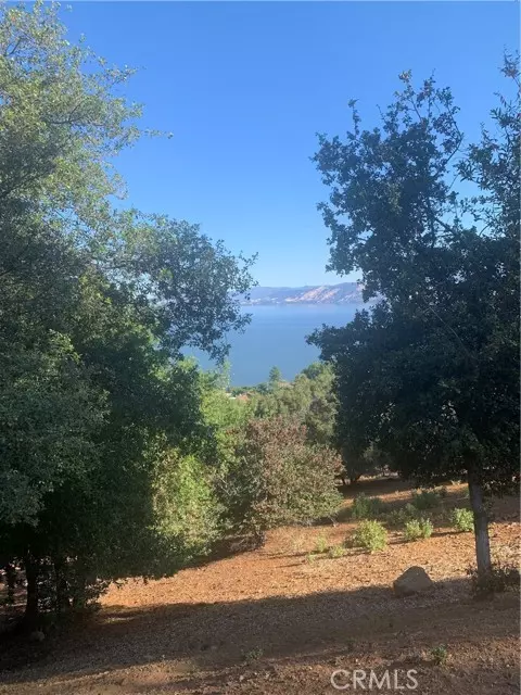 Kelseyville, CA 95451,3125 Skyline Drive