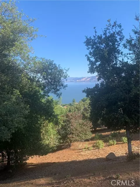 3125 Skyline Drive, Kelseyville, CA 95451