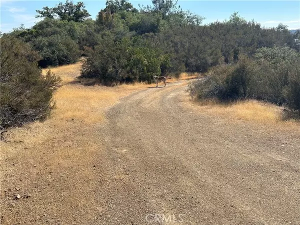 Kelseyville, CA 95451,9525 Peterson Lane