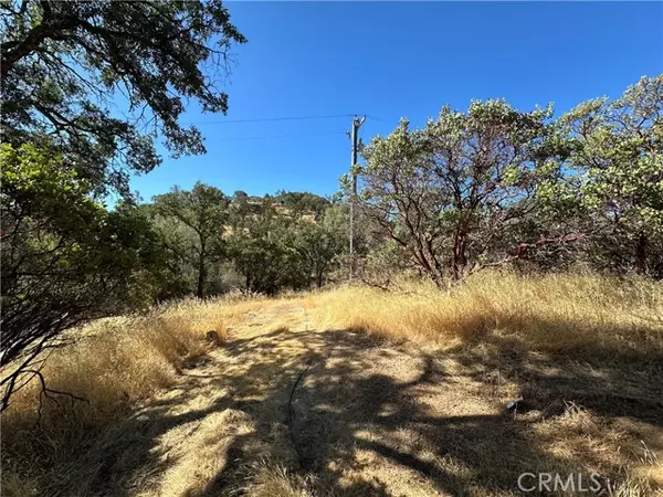 Clearlake Oaks, CA 95423,452 Watertrough Road