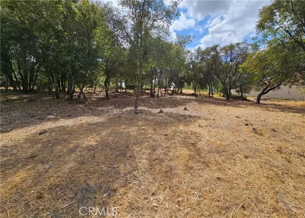 Kelseyville, CA 95451,9599 Timberline Court