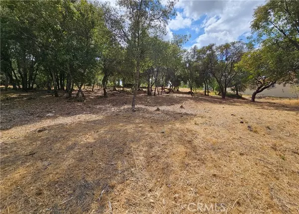 Kelseyville, CA 95451,9599 Timberline Court