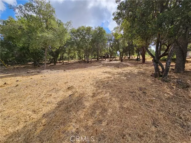 Kelseyville, CA 95451,9599 Timberline Court