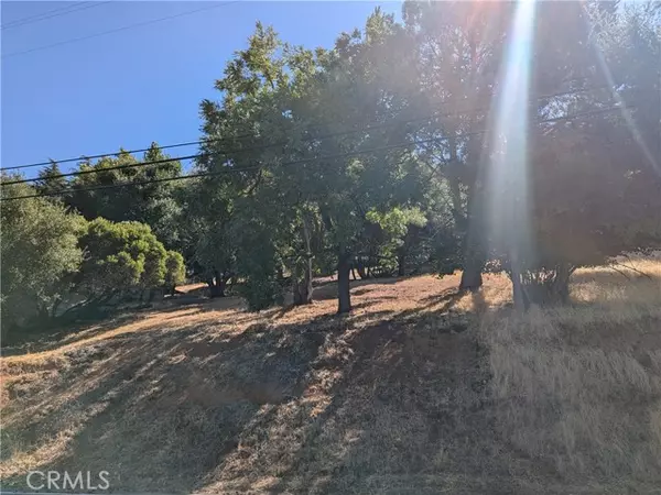 Kelseyville, CA 95451,2904 Riviera Heights Drive