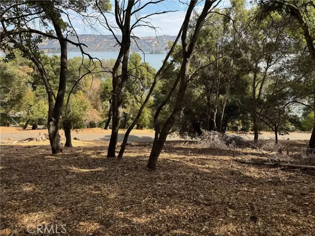 Kelseyville, CA 95451,3137 Southlake Drive