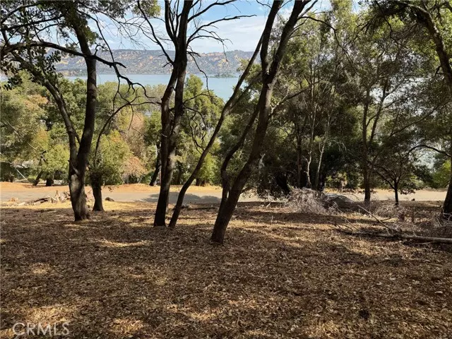 Kelseyville, CA 95451,3137 Southlake Drive