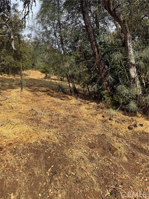 12504 Lakeview Drive, Clearlake Oaks, CA 95423