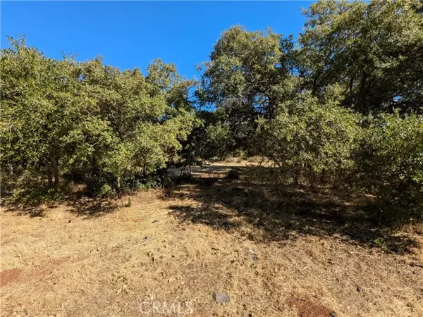 Kelseyville, CA 95451,9252 Takelma Court