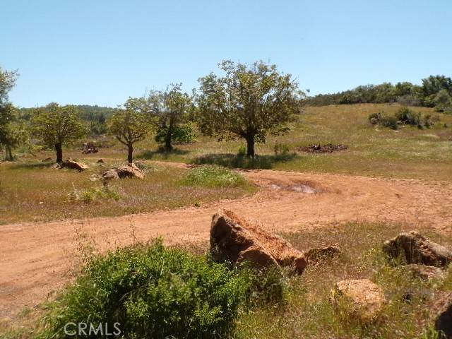 Kelseyville, CA 95451,10929 point lakeview Road
