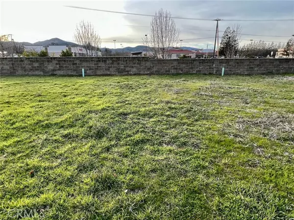 Lakeport, CA 95453,2023 Hampton