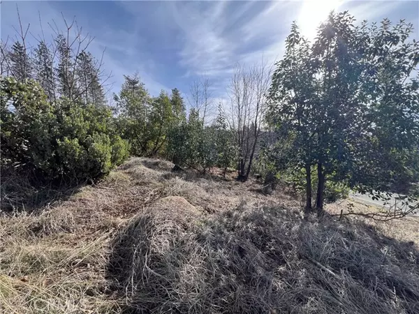 Cobb, CA 95426,16070 Pine Street