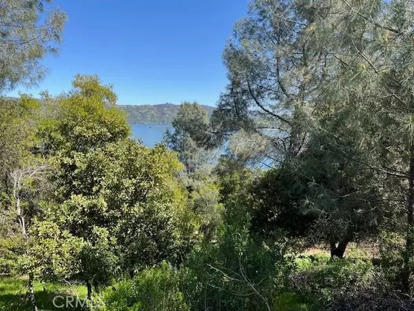 8444 Soda Bay Road, Kelseyville, CA 95451