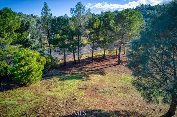 Kelseyville, CA 95451,9667 State Highway 281