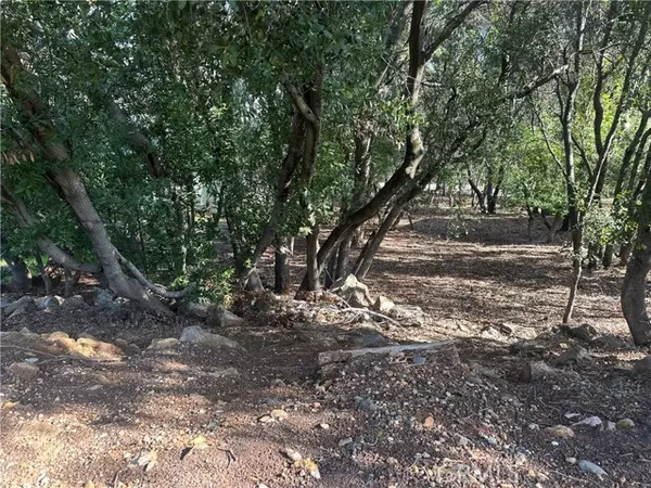 Kelseyville, CA 95451,3470 Shoreline View Way