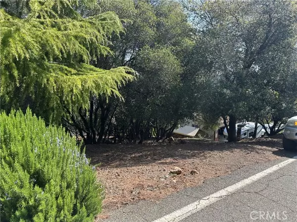 Kelseyville, CA 95451,8310 Mountain Crest Drive