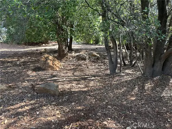 Kelseyville, CA 95451,8310 Mountain Crest Drive