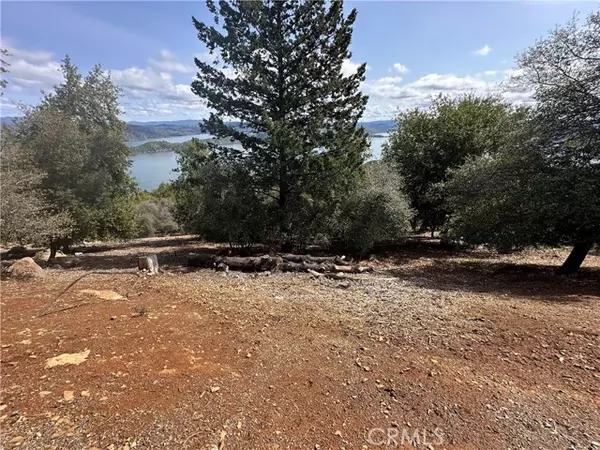Kelseyville, CA 95451,8164 Broadview Drive