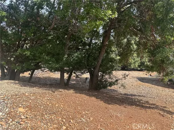 Kelseyville, CA 95451,8146 Broadview Drive