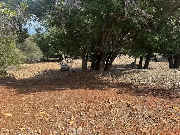 Kelseyville, CA 95451,8146 Broadview Drive