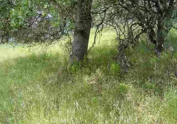 15709 Cache Creek Road, Clearlake Oaks, CA 95423