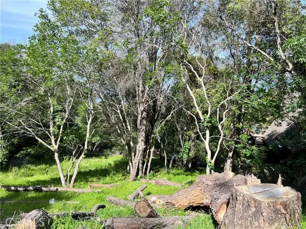 Kelseyville, CA 95451,3356 Southlake Court