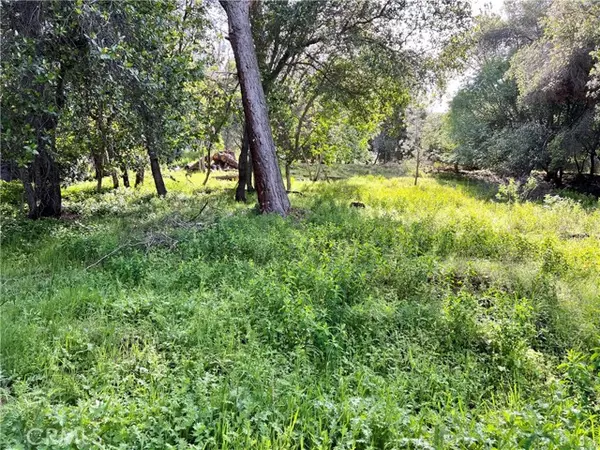 Kelseyville, CA 95451,3356 Southlake Court