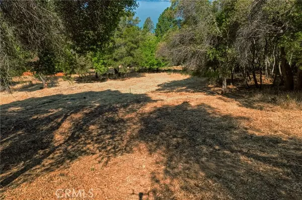 Kelseyville, CA 95451,3167 Skyline Drive