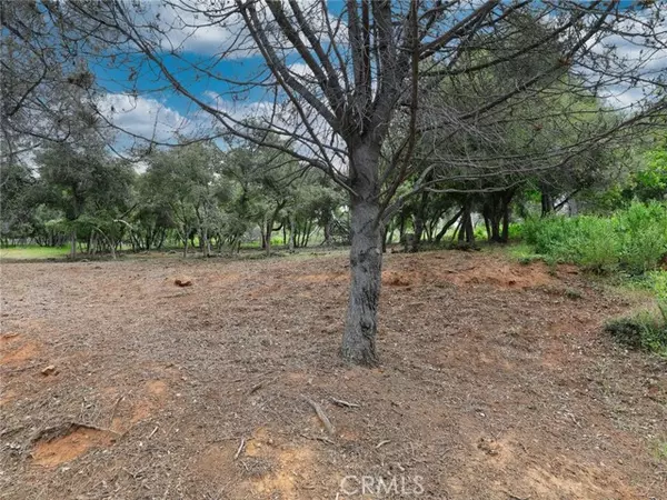 Kelseyville, CA 95451,3218 Skyline Drive