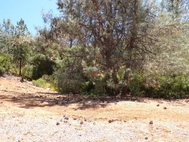 3440 Westridge Drive, Kelseyville, CA 95451