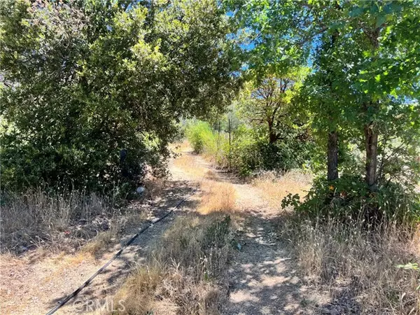 10725 Gifford Springs Road, Cobb, CA 95426