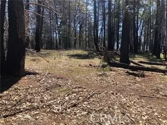 Lucerne, CA 95458,6847 High Valley Road