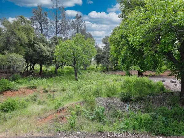 Kelseyville, CA 95451,3210 Skyline Drive