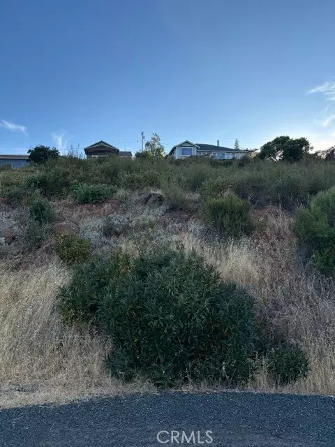 Kelseyville, CA 95451,5541 Sioux Court