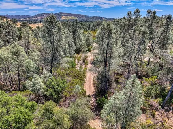 Clearlake, CA 95422,14142 Burns Valley Road