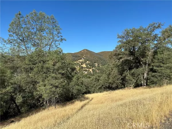 Clearlake Oaks, CA 95423,3265 Wolf Creek Road