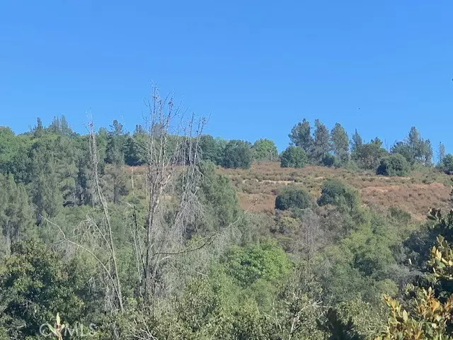 9510 Bottle Rock Road, Kelseyville, CA 95451