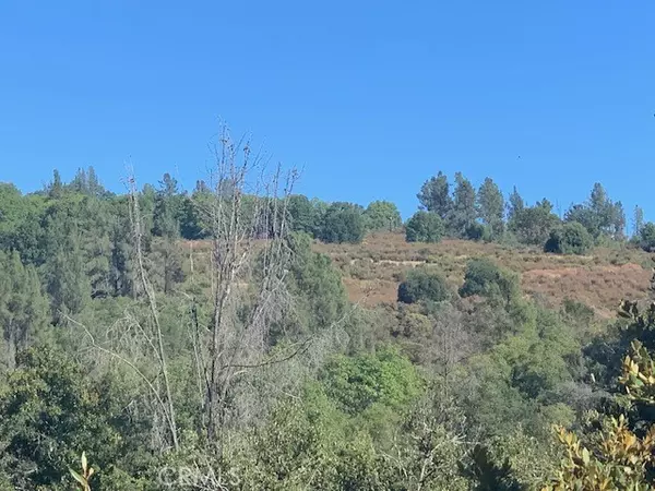 9510 Bottle Rock Road, Kelseyville, CA 95451