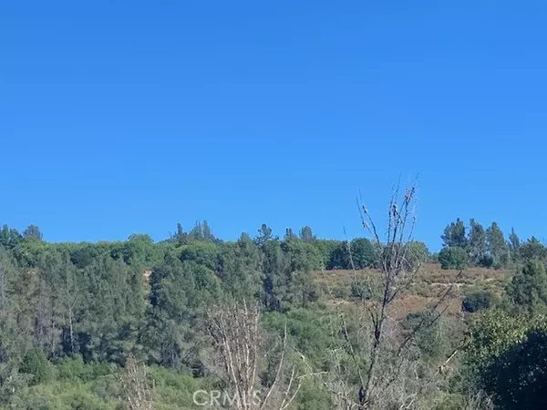 Kelseyville, CA 95451,9510 Bottle Rock Road